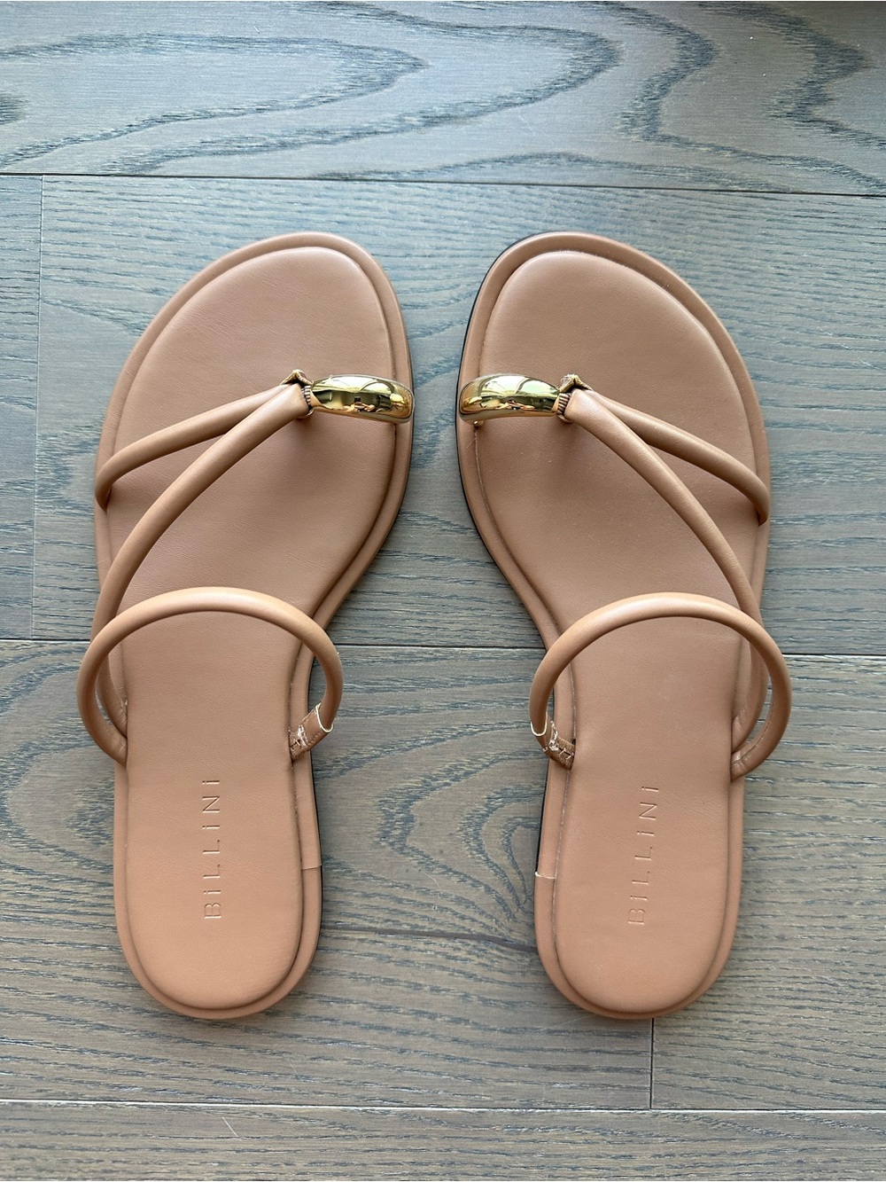 Billini Nude-Tan Strappy Flat Sandals with Gold Accent